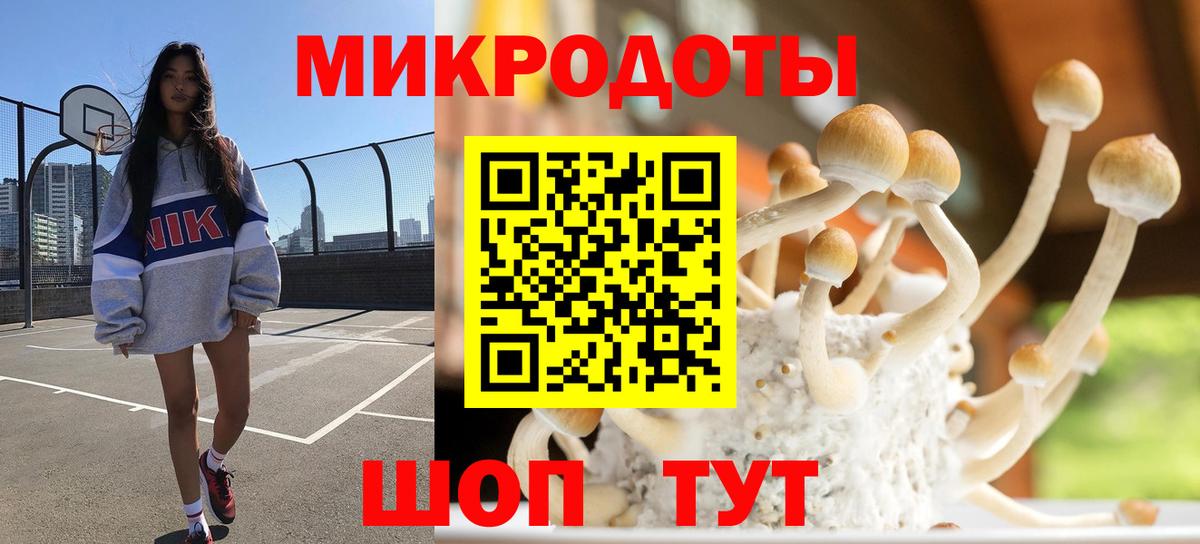 Псилоцибиновые грибы ЛСД Павловский Посад